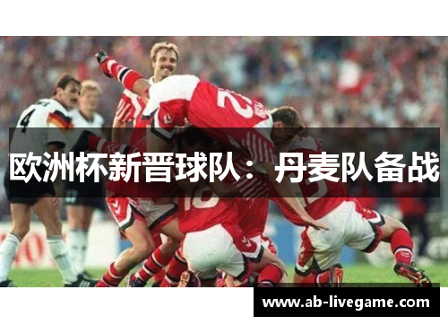 欧洲杯新晋球队：丹麦队备战