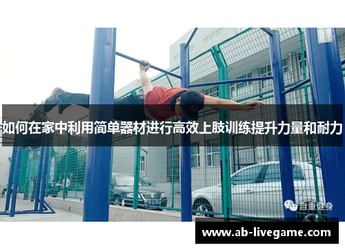 如何在家中利用简单器材进行高效上肢训练提升力量和耐力